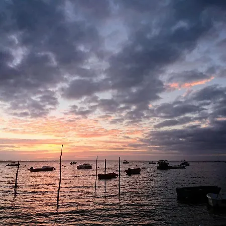 O'jane De Boy 2* Lege-Cap-Ferret